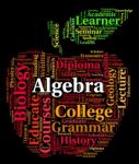Algebra Word Represents Math Fractions And Words Stock Photo