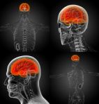 3d Rendering Medical Illustration Of The Brain Stock Photo