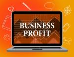 Business Profit Shows Web Site And Biz Stock Photo