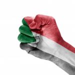 Flag Of Sudan On Hand Stock Photo