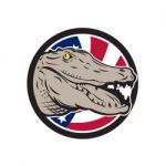 American Alligator Usa Flag Icon Stock Photo
