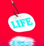 Life On Hook Displays Happy Lifestyle Or Prosperity Stock Photo