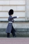 Guard In Greatcoat Parading At Buckingham Palace Stock Photo
