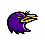 American Crow Head Mascot Stock Photo