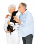 Elderly Couple With Little Black Dog Stock Photo