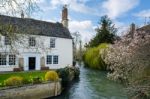 Picturesque Cottage Beside The River Windrush In Witney Stock Photo