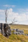 View Of The Limestone Pavement Near The Village Of Conistone In Stock Photo