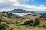 The Otago Peninsula New Zealand Stock Photo