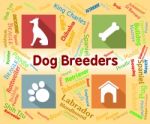 Dog Breeders Represents Mating Reproducing And Pup Stock Photo
