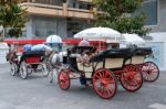 Marbella, Andalucia/spain - July 6 : Horse And Carriage In Marbe Stock Photo