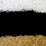 Top View Of Paddy Rice And Rice Seed On The Black Background For Isolated Stock Photo
