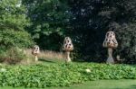 London -september 7 : Tom Hare's Fungi Fairy Ring At Kew Gardens Stock Photo
