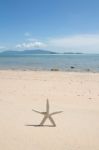 Starfish Standing On The Beach Stock Photo