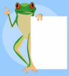 Red Eyed Tree Frog Stock Photo