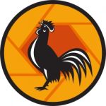 Rooster Crowing Shutter Circle Retro Stock Photo