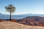 Scenic View Of Bryce Canyon Southern Utah Usa Stock Photo