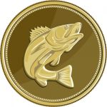 Barramundi Gold Coin Retro Stock Photo