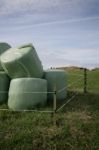 Green Wrapped Silage Stock Photo
