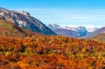 Autumn Colors Of Patagonia, Near Bariloche, Argentina Stock Photo