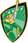 Australia Cricket Player Batsman Batting Shield Stock Photo