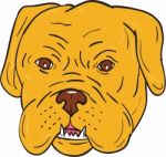 Bordeaux Dog Head Cartoon Stock Photo