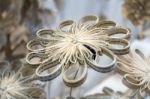 Artistic Flower Display Made Of Paper At The Millennium Centre I Stock Photo