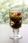 Jasmine Tea Stock Photo