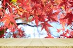 Perspective Wood Counter With Japanese Maple Tree Garden In Autumn, Stock Photo