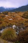 Cradle Mountain In Tasmania On A Cloudy Day Stock Photo