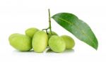 Green Marian Plum Or Maprang Isolated On White Stock Photo