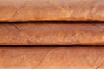 Genuine Cuban Cigars Stock Photo