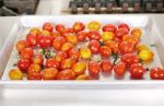 Many Colorful Tomato Red And Yellow On A Tray Ready To Be Served Stock Photo