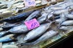 Variety Of Fresh Fish Seafood In Market Stock Photo