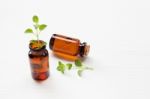 A Bottle Of Oregano Essential Oil With Fresh Oregano Leaves On W Stock Photo
