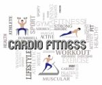 Cardio Fitness Indicates Physical Activity And Cardiogram Stock Photo