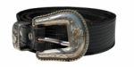 Cowboy Leather Belt Stock Photo