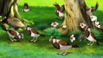 Flock Of Sparrows Feeding In The Forest Stock Photo