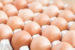 Closed Up Fresh Chicken Eggs Stock Photo