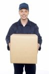 Male Holding Cardboard Box Stock Photo