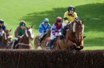 Point To Point Racing At Godstone Surrey Stock Photo