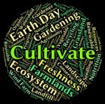 Cultivate Word Meaning Sows Farm And Text Stock Photo