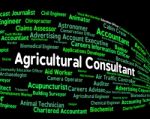 Agricultural Consultant Indicates Position Farm And Job Stock Photo