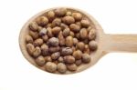 Soybeans On Wooden Spoon Stock Photo