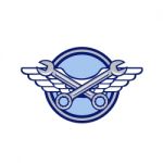 Crossed Spanner Air Force Wings Icon Stock Photo