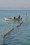Fishermen Checking Their Nets At Lake Garda Stock Photo