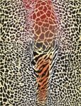 Giraffe And Leopard Pattern Stock Photo