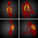 3d Rendering Medical Illustration Of The Ribcage Stock Photo
