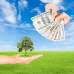 Hand Holding Tree And Us Dollars Banknote Stock Photo