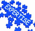 Expertise Puzzle Showing Excellent Skills Stock Photo