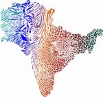Color Map Of Indian Subcontinent With Tiger And Leopard Background Stock Photo